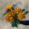 Fuego Chrysanthemums  - The Home Edit