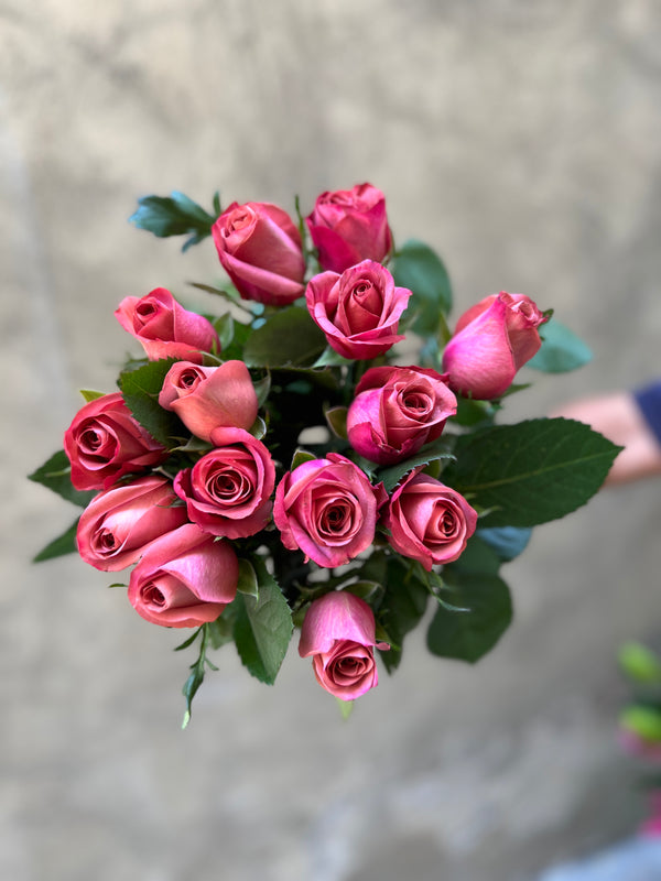 Mauve Roses - The Home Edit