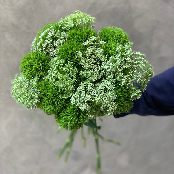 Green Dianthus with Dille Visnaga - The Home Edit