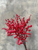 Red Ilex Berries - The Home Edit