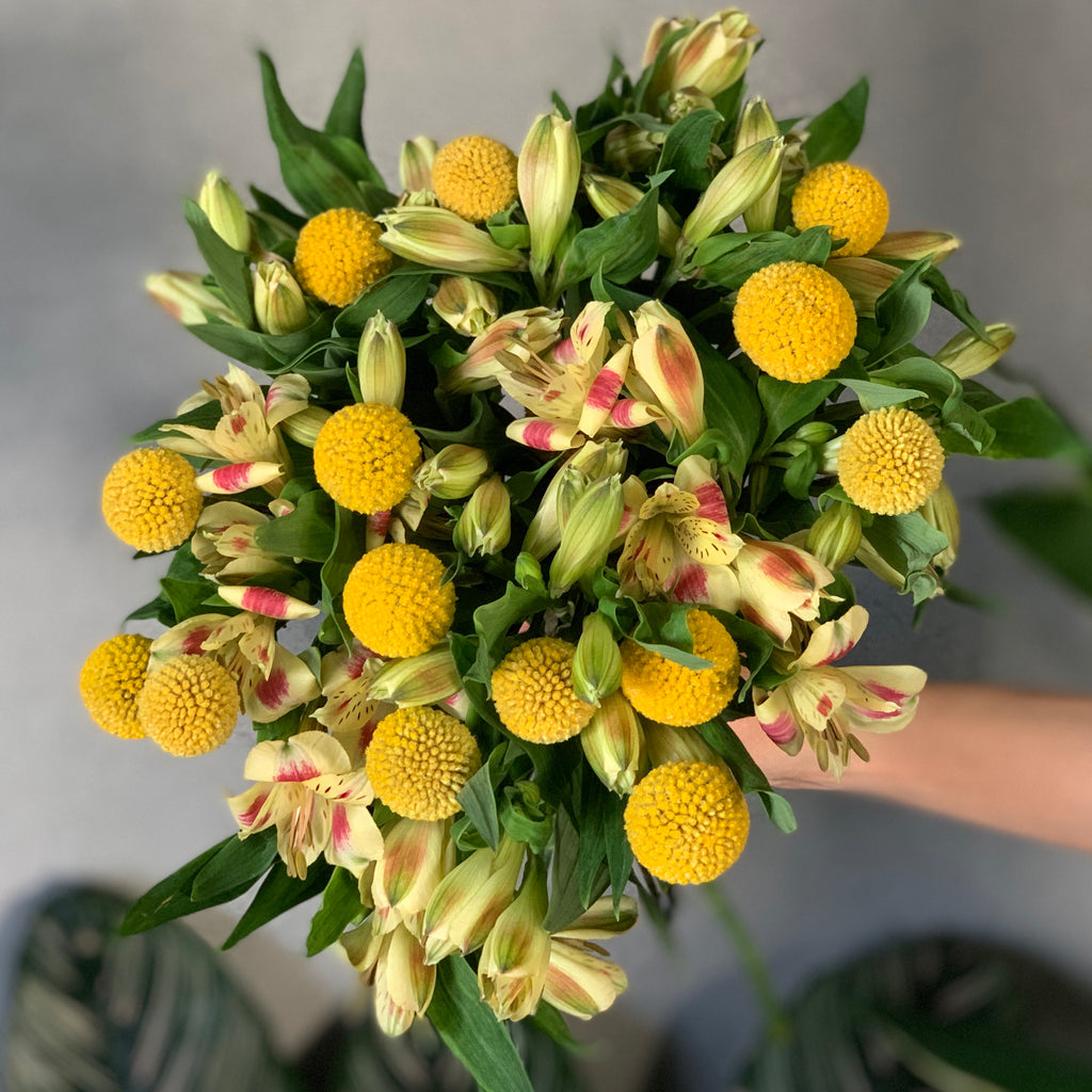 Yellow Alstromeria and Craspedia - The Home Edit