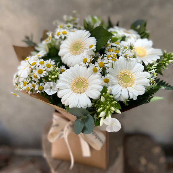 Darling Daisies