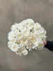 White Carnations - The Home Edit