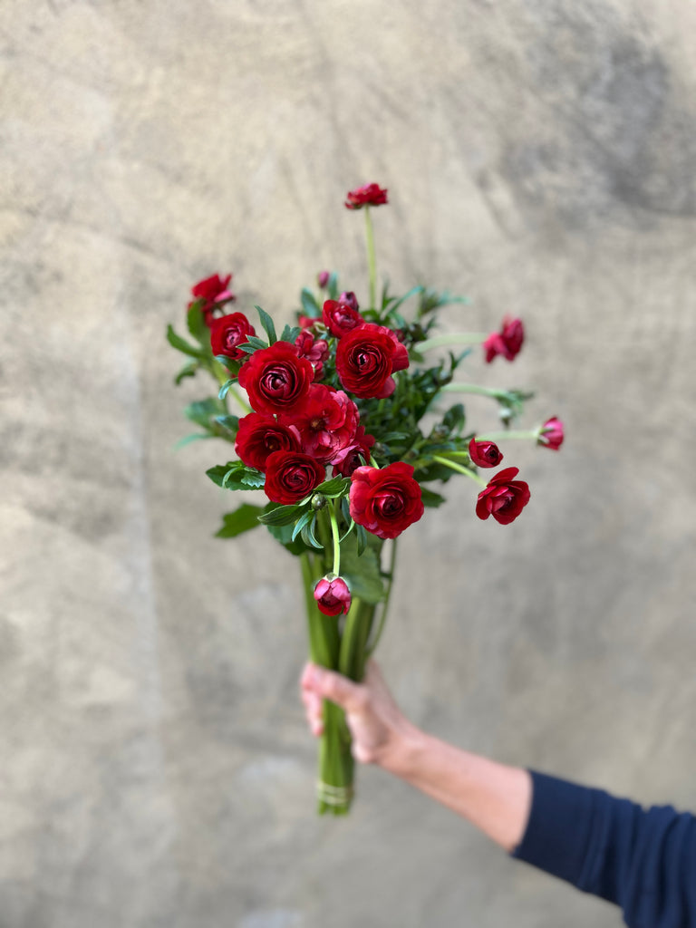 Red Butterfly Ranunculus - The Home Edit