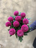 Lilac Ping Pong Chrysanthemums - The Home Edit